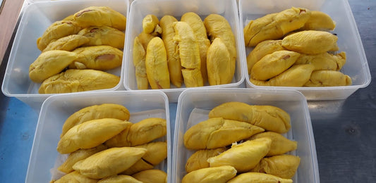 Promo:1xMSW FamilyPack - (1-1.2kg durian flesh) good for 2-3 pax